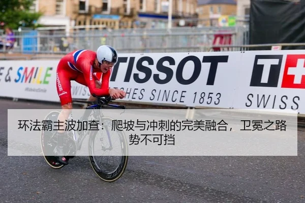 环法霸主波加查：爬坡与冲刺的完美融合，卫冕之路势不可挡