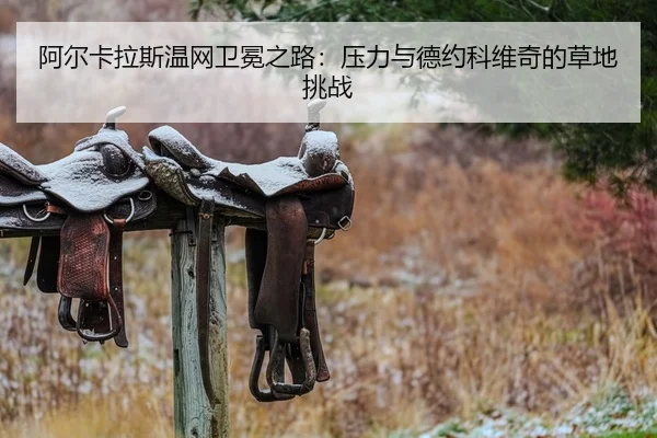 a-er-ka-la-si-wen-wang-wei-mian-zhi-lu-ya-li-yu-de-yue-ke-wei-qi-de-cao-di-tiao-zhan-2-202.jpg