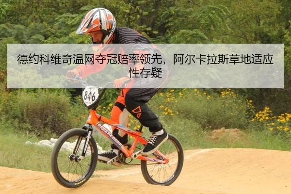 德约科维奇温网夺冠赔率领先，阿尔卡拉斯草地适应性存疑