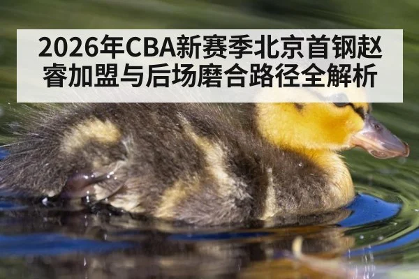 2026年CBA新赛季北京首钢赵睿加盟与后场磨合路径全解析
